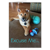 Leuke Shiba Inu Puppy met speelgoed Fotosjabloon (Voorkant)