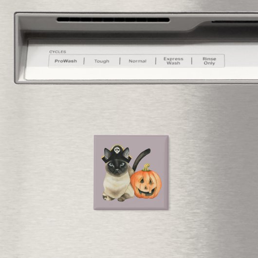 Leuke Siamese Pirate Kat met Jack O Lantern Magneet (Insitu (Vaatwasser))