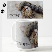 Leuke Slapen Tabby Kat Mok voor Ochtendhaters