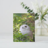 Leuke SneeuwUil Feestdagenkaart (Staand voorkant)