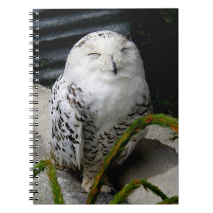 Leuke SneeuwUil Notitieboek