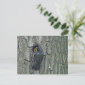 Leuke spreeuw met jong DIY Briefkaart (Staand voorkant)