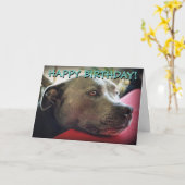 Leuke staffy aangepaste groetenkaart kaart (Gele Bloem)