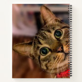 Leuke Tabby Cat gepersonaliseerd Notitieboek (Achterkant)