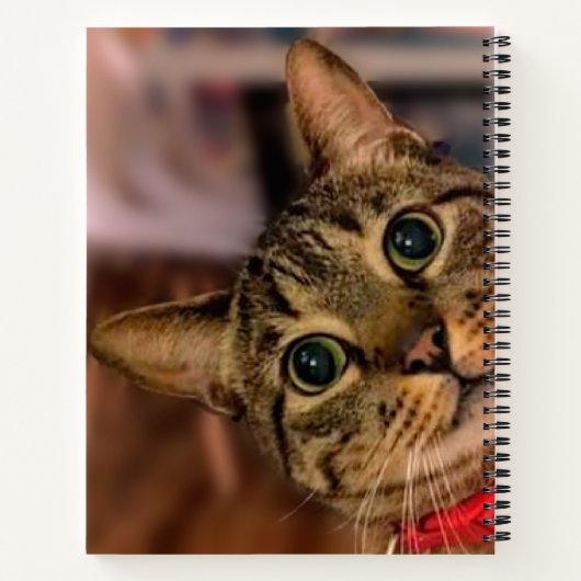 Leuke Tabby Cat gepersonaliseerd Notitieboek (Achterkant)