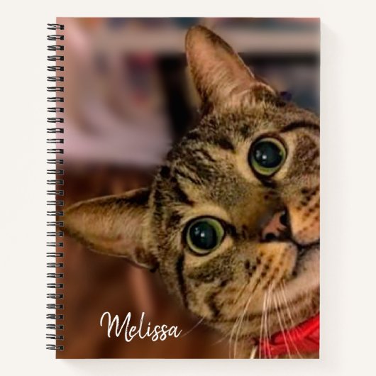 Leuke Tabby Cat gepersonaliseerd Notitieboek (Voorkant)