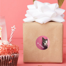 Leuke Tabby Kat Peeks Ronde Sticker