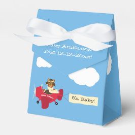 Leuke  Teddy Bear Pilot Baby shower Bedankdoosjes