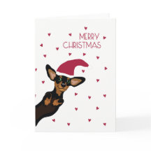 Leuke Tekkel met Vrolijke Kerstmis van het pet van