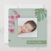 Leuke Tijger Oerwoud Geboorte Aankondiging (Achterkant)