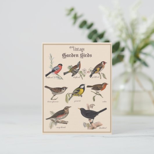 Leuke  Tuinvogels Briefkaart (Staand voorkant)