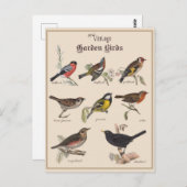 Leuke Tuinvogels Briefkaart (Voorkant / Achterkant)