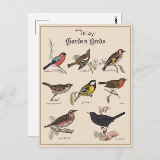 Leuke  Tuinvogels Briefkaart (Voorkant / Achterkant)