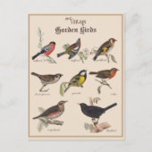 Leuke  Tuinvogels Briefkaart (Voorkant)