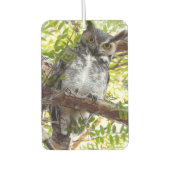 Leuke uil die naar je kijkt luchtverfrisser (Voorkant)