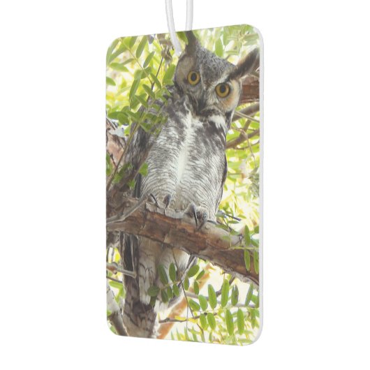 Leuke uil die naar je kijkt luchtverfrisser (Links)