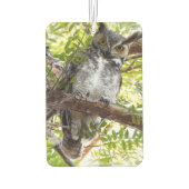 Leuke uil die naar je kijkt luchtverfrisser (Achterkant)