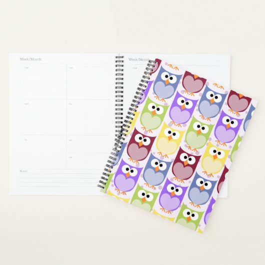 Leuke uilen, Uil Pattern, Baby uilen, Kleurrijke u Planner (Display)
