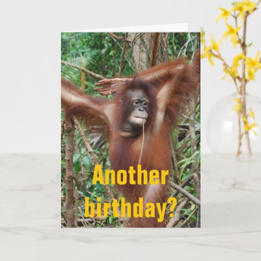 Leuke verjaardag Humor Kaart (Gele Bloem)