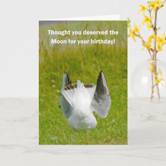 Leuke Verjaardag Kaart - Mooning Zeemeeuw (Gele Bloem)