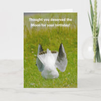 Leuke Verjaardag Kaart - Mooning Zeemeeuw