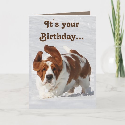 Leuke Verjaardag Kaart w/Basset Hound & Champagne (Voorkant)