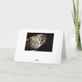 Leuke Verjaardag Koele Luipaard Kaart (Achterkant)