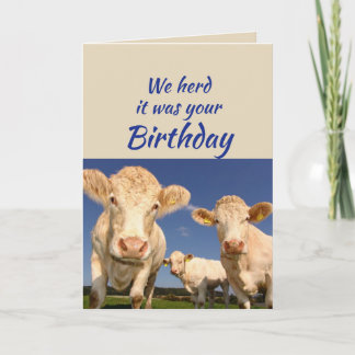 Leuke verjaardag van de groep Koe dier humor Kaart