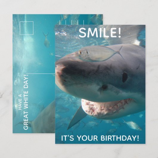 Leuke Verjaardag Witte Haai Briefkaart (Voorkant / Achterkant)