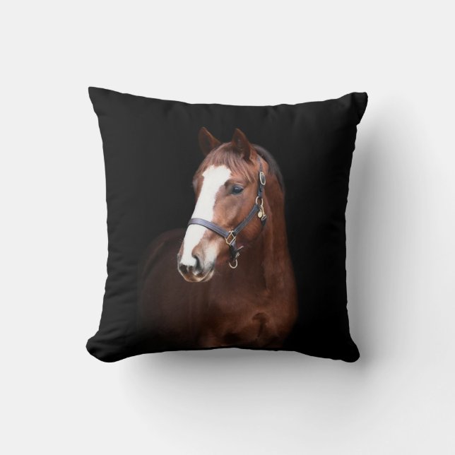 Leuke  veulen paard zwarte achtergrond kussen (Voorkant)