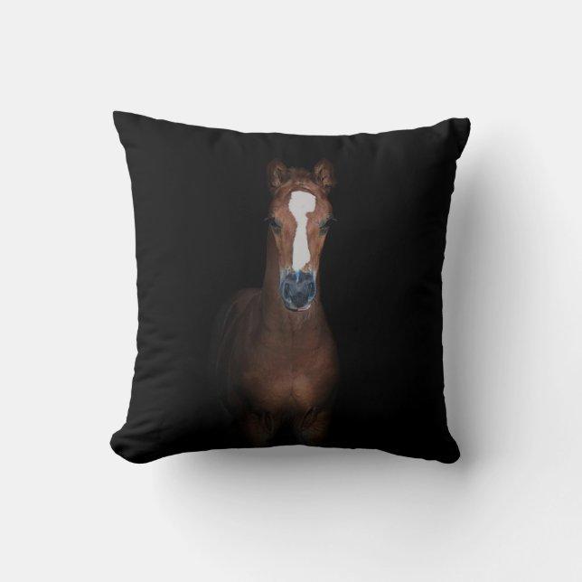 Leuke  veulen paard zwarte achtergrond kussen (Voorkant)