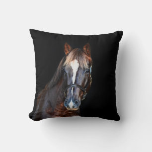 Leuke veulen paard zwarte achtergrond kussen