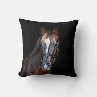 Leuke veulen paard zwarte achtergrond kussen