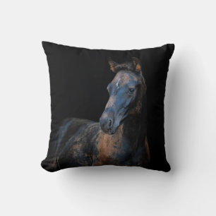 Leuke veulen paard zwarte achtergrond kussen