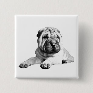 Leuke Vierkante Shar Pei Button