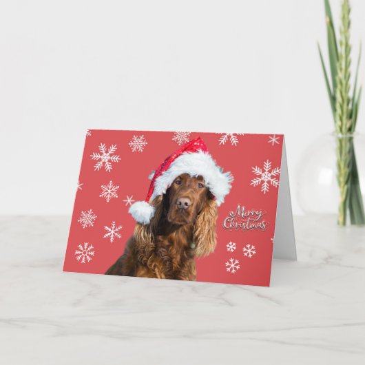 Leuke vrolijke kerst hond in kerstmuts Kerst Kaart (Voorkant)