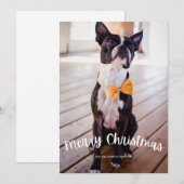 Leuke Vrolijke Kerstfoto Kerstvakantie Feestdagenkaart (Voorkant / Achterkant)