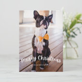 Leuke Vrolijke Kerstfoto Kerstvakantie Feestdagenkaart (Staand voorkant)