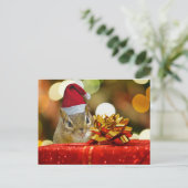 Leuke Vrolijke Kerstmis van de Aardeekhoorn Feestdagenkaart (Staand voorkant)