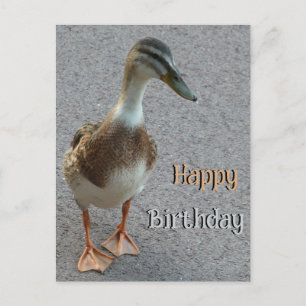Leuke wandelende eend Cust. Happy Birthday Briefka Briefkaart