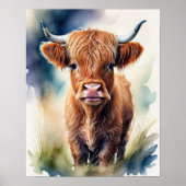 Leuke Waterverf Schilderen van een Highland Koe 5: Poster (Voorkant)