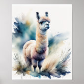 Leuke Waterverf Schilderen van een Llama 5:4 Poster (Voorkant)