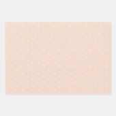 Leuke Waterverf uilen in aardetinten Inpakpapier Vel (Voorkant 3)