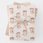 Leuke Waterverf uilen in aardetinten Inpakpapier Vel (In situ)