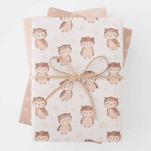 Leuke Waterverf uilen in aardetinten Inpakpapier Vel (In situ)