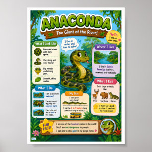Leuke weetjes over Anaconda voor kinderen Poster