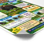 Leuke weetjes over Banteng voor kinderen Poster (Hoek)