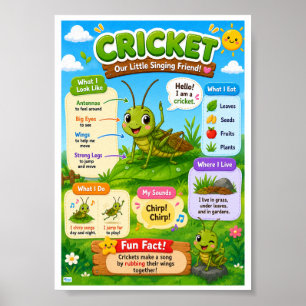 Leuke weetjes over cricket voor kinderen poster