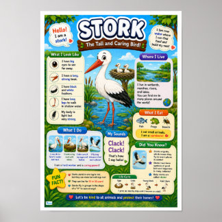 Leuke weetjes over de ooievaar voor kinderen poster
