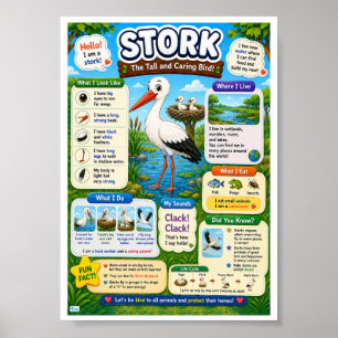 Leuke weetjes over de ooievaar voor kinderen poster